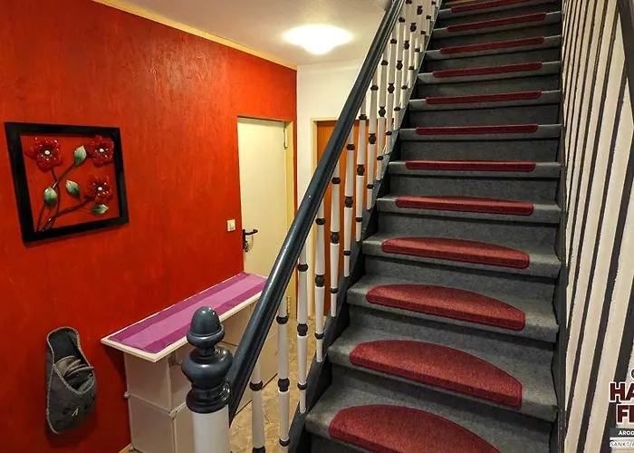 Arode Grosser Harzensfreund *