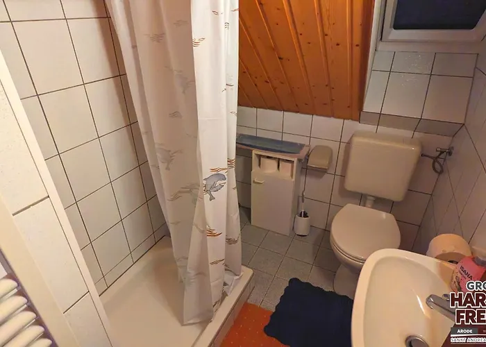 Διαμέρισμα Arode Grosser Harzensfreund *